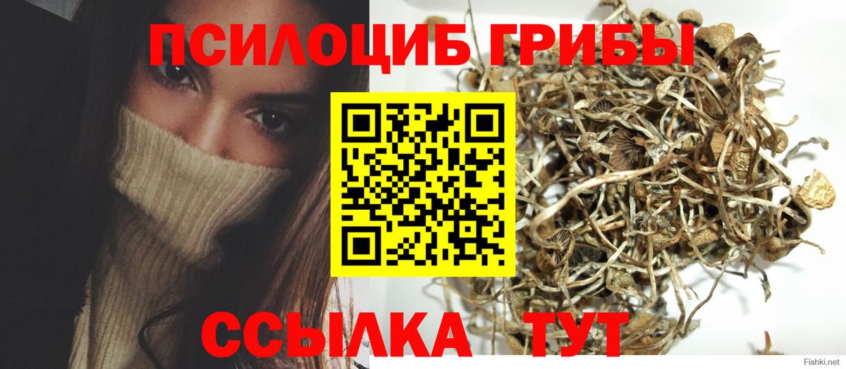 Псилоцибиновые грибы мухоморы Ефремов
