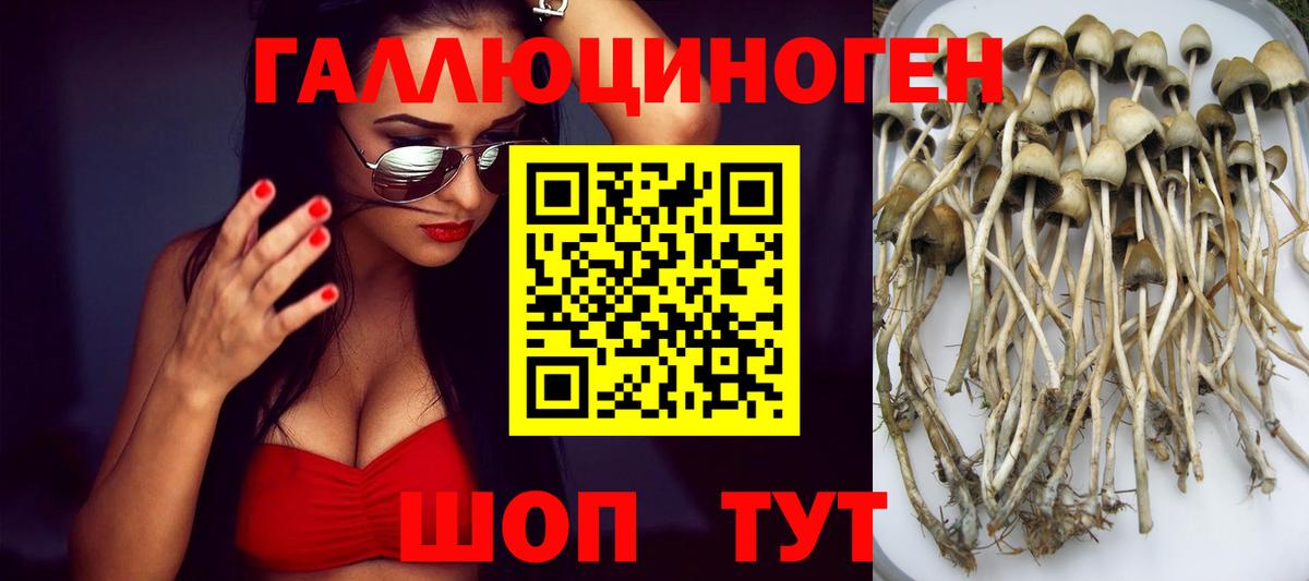 Ефремов  Галлюциногенные грибы мухоморы  Псилоцибиновые грибы GOLDEN TEACHER  Вход с VPN 